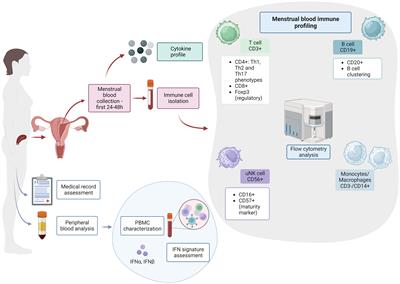 Endometrial immune profiling as a new tool for preconceptional assessment in patients with systemic autoimmune diseases